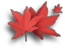 Item Frosted Maple Leaves.png