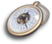 Item Truth Pocketwatch.png