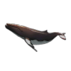 Furniture MuseumTrip Whale.png