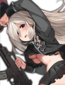 G36C S D.png