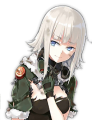 PP-19 S D.png